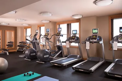 Amenities at Millennium Knickerbocker Hotel Chicago