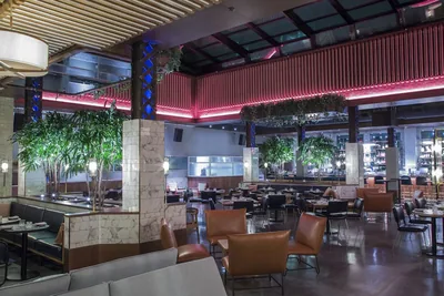 Restaurant and bar at Kimpton Gray Hotel